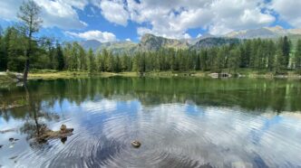 wellnes korporacyjny co to jest