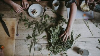 Podstawy ziołolecznictwa